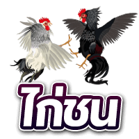 ไก่ชน