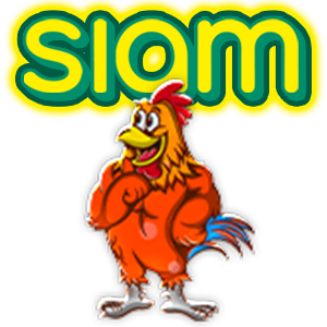 ไก่ชน