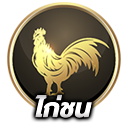 ไก่ชน