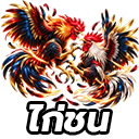 ไก่ชน