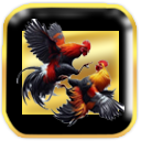 ไก่ชน