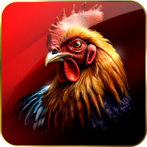 ไก่ชน