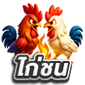 ไก่ชน
