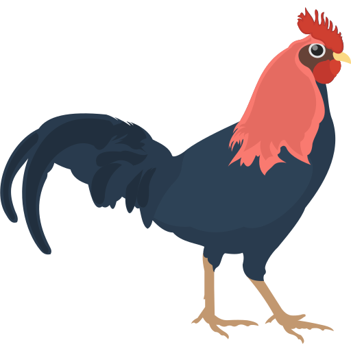 ไก่ชน