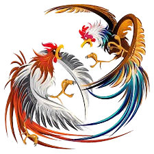ไก่ชน