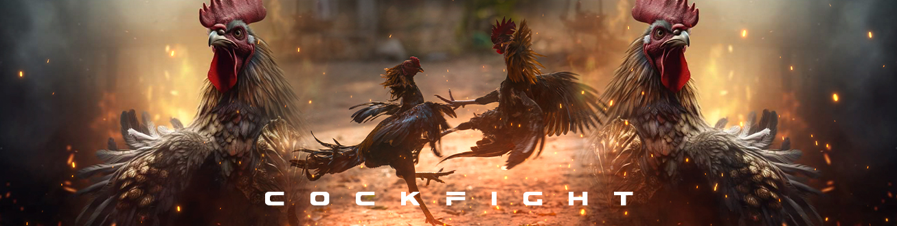 ไก่ชนออนไลน์ 